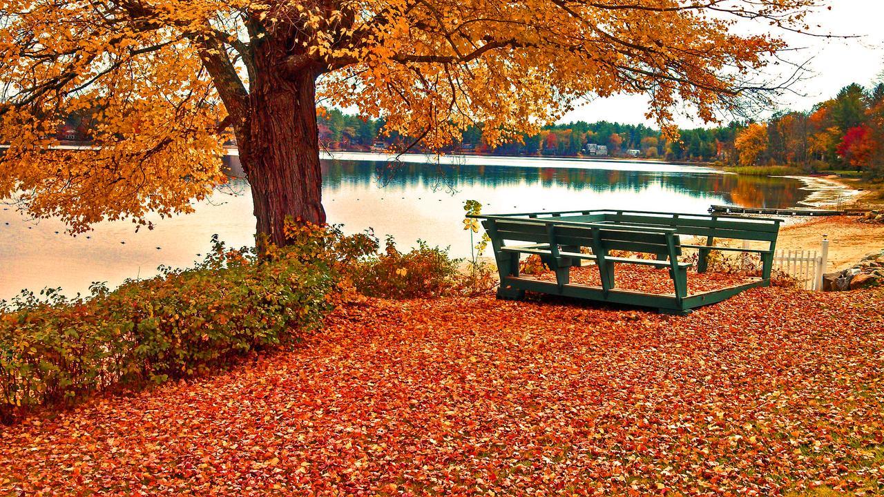 Silver Lake Park Campground & Cabins Otel Belmont Dış mekan fotoğraf